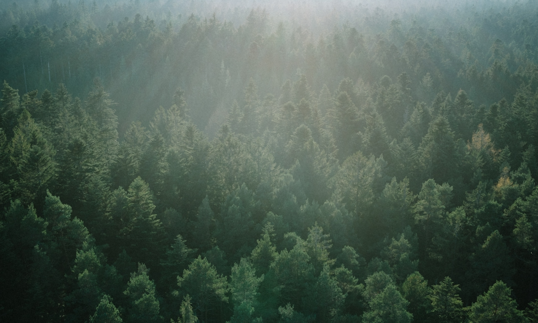 cropped-1716366488635_b863a269-518d-43f3-a79f-a1c35f8d42f5.png